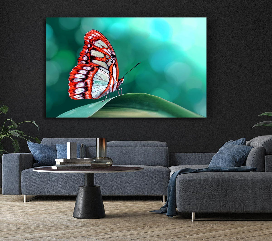 Picture of Butterfly Wings 1 Canvas Print Wall Art