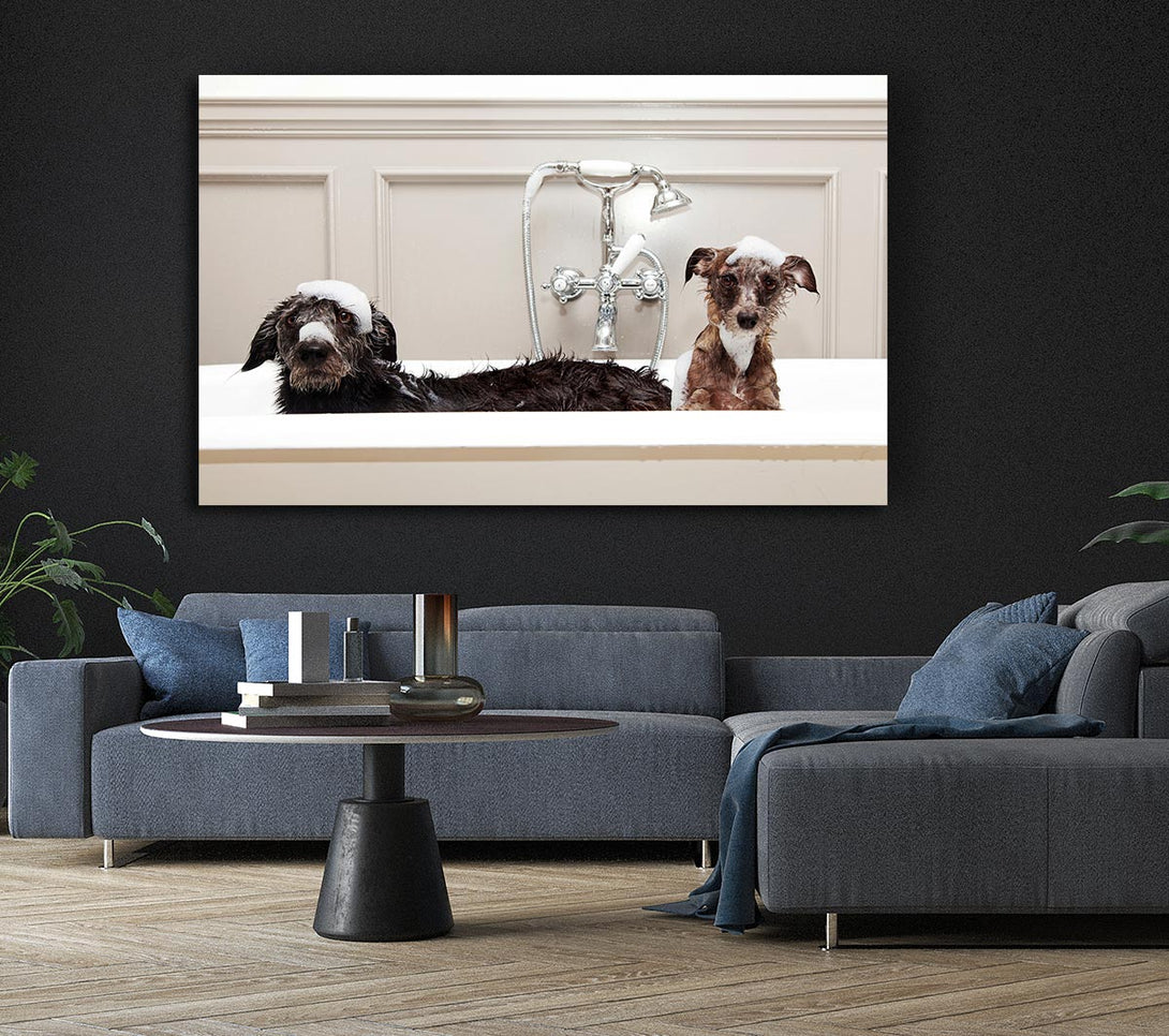 Picture of Bath Time Dogs Canvas Print Wall Art