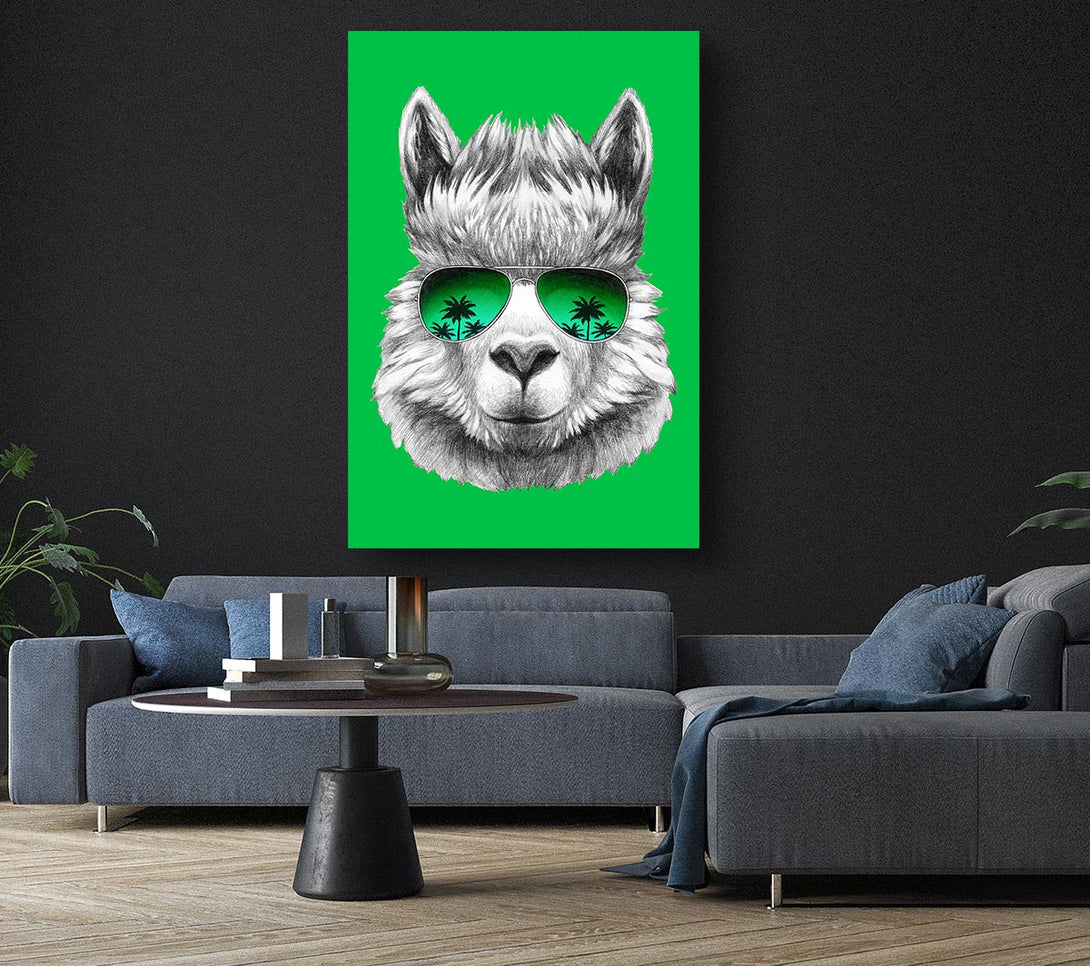 Picture of Llama Cool Canvas Print Wall Art