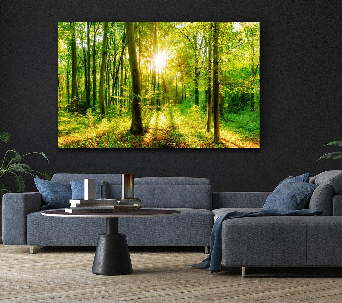 Picture of Green forest beauty Canvas Print Wall Art