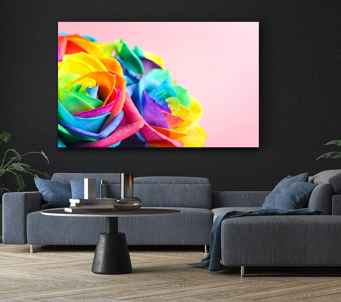 Picture of Rainbow closeup rose Canvas Print Wall Art