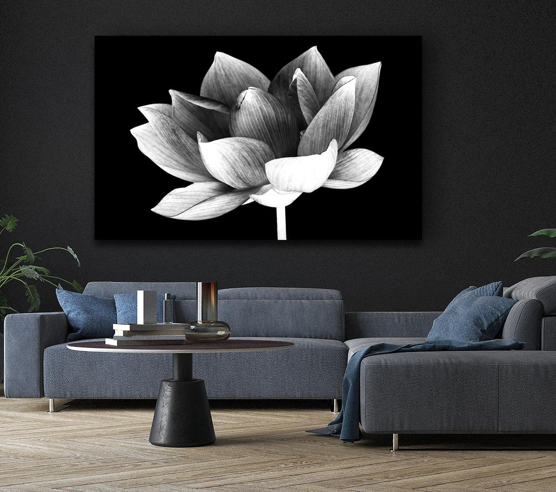 Picture of Black and white flower beauty Canvas Print Wall Art