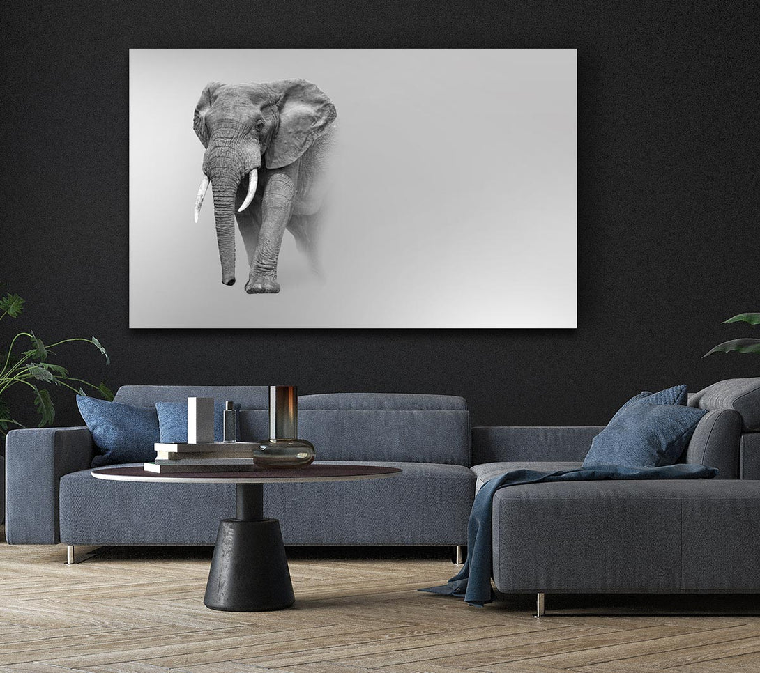 Picture of Elephant In The Mist Canvas Print Wall Art