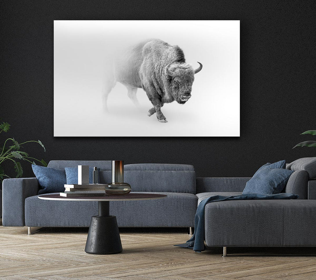 Picture of Bison In The Mist Canvas Print Wall Art