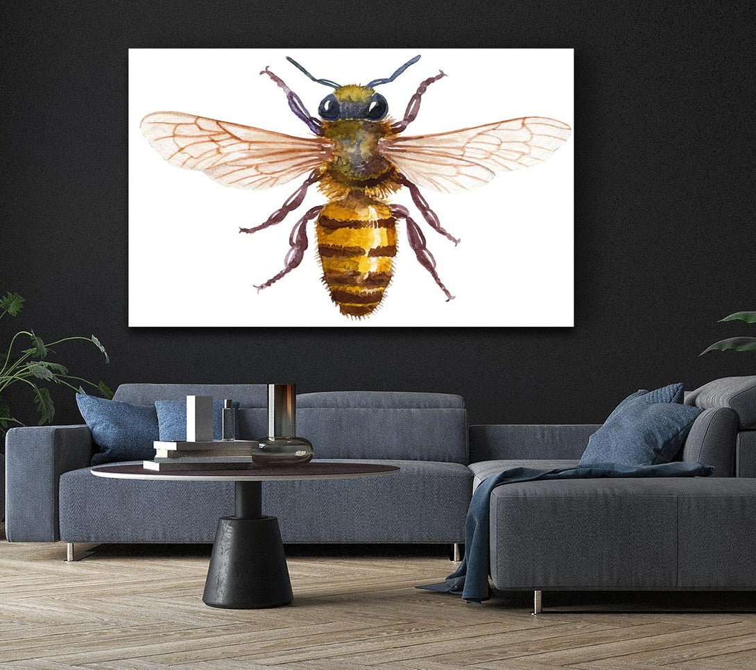 Picture of Watercolour Bee Canvas Print Wall Art