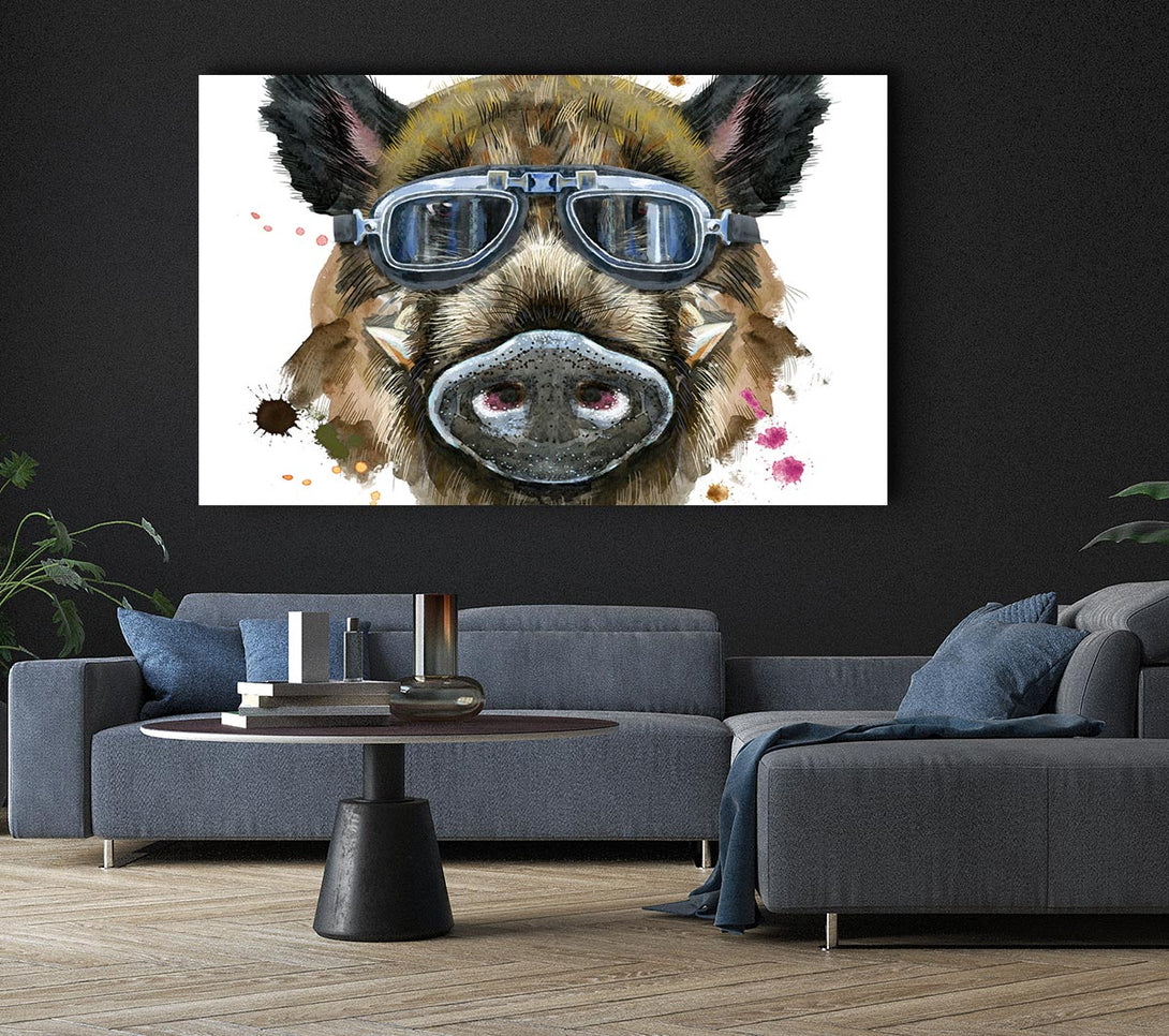 Picture of The Boar In Glasses Canvas Print Wall Art