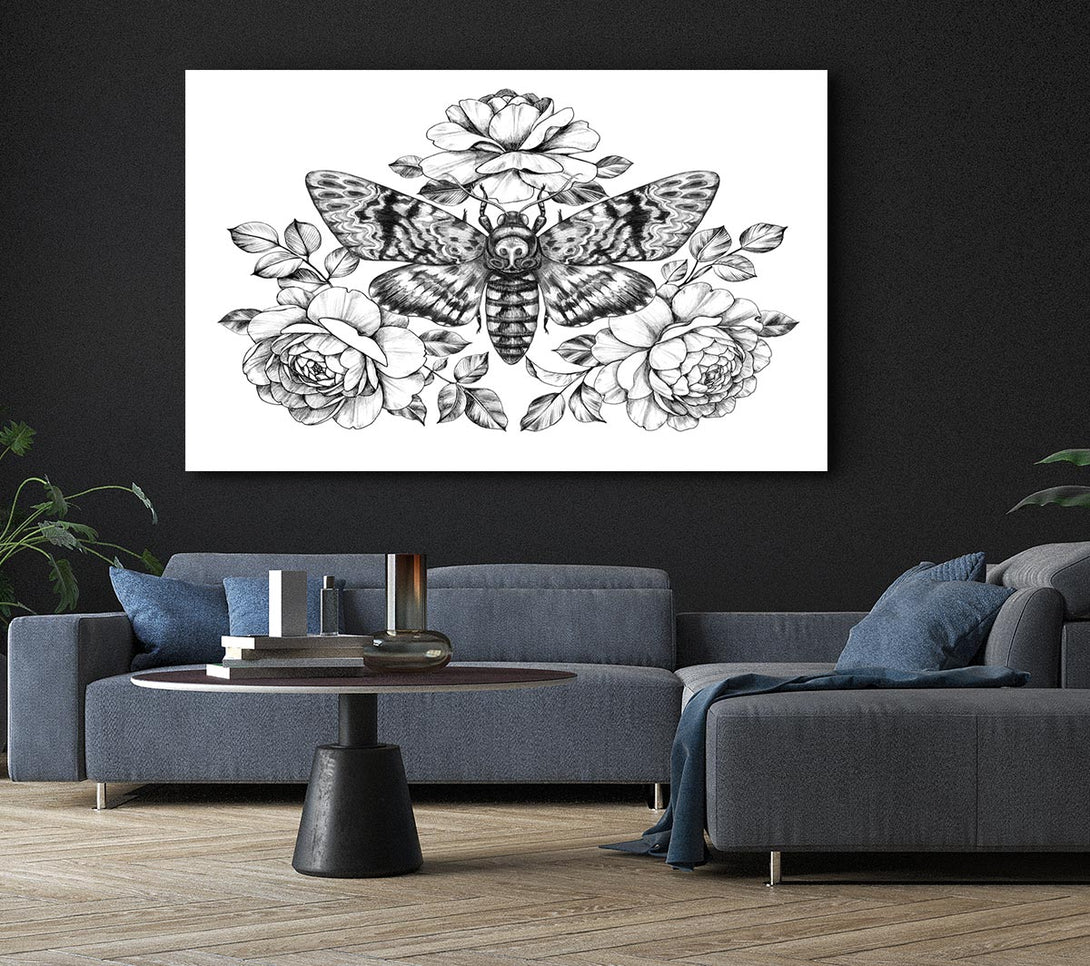 Picture of Death Head Moth Canvas Print Wall Art