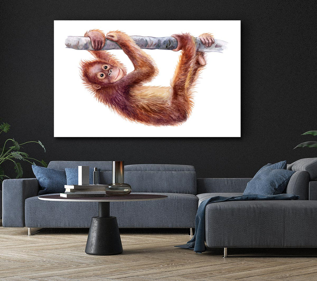 Picture of Hanging On A Branch Orangutan Canvas Print Wall Art