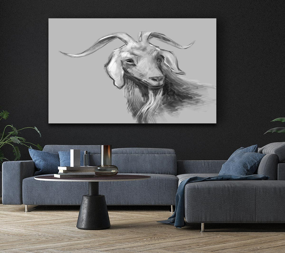 Picture of The Sketch Goat Canvas Print Wall Art