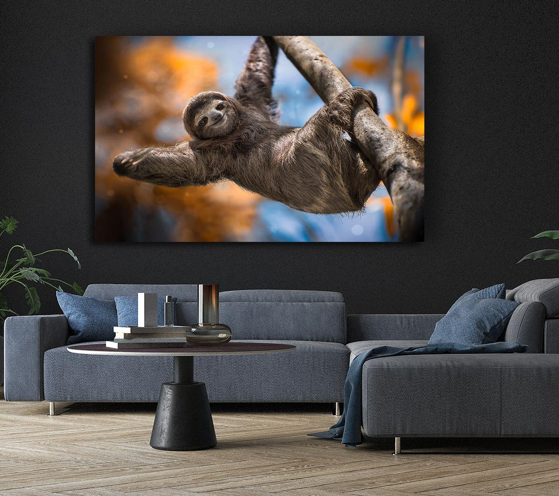 Picture of Sloth Hanging From A Tree Canvas Print Wall Art