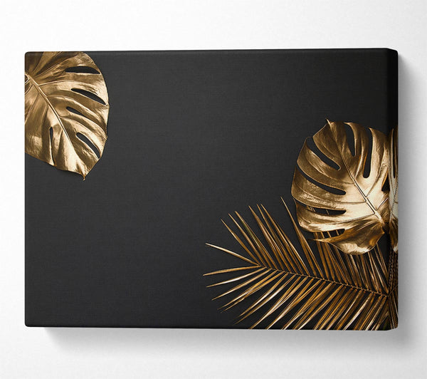 Gold Leaf Palm