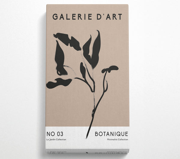 Galerie Collection Plant