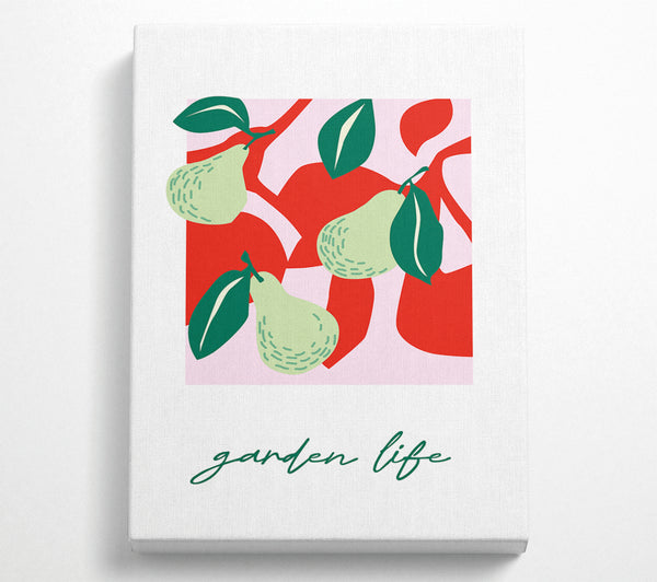 Garden Life Pears