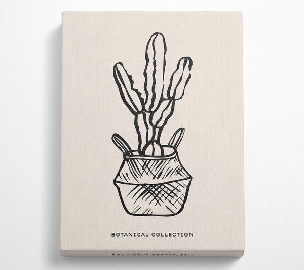 Cactus In A Pot