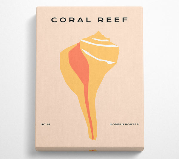 The Coral Reef