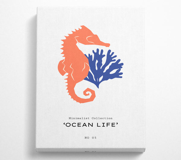 Ocean Life