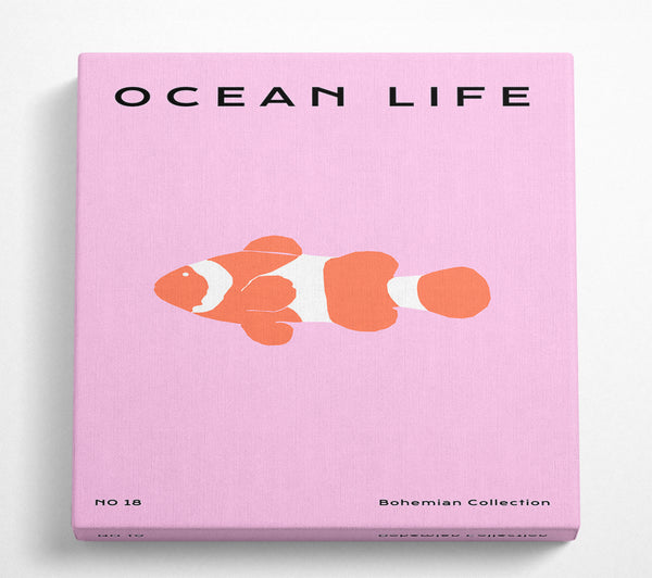 A Square Canvas Print Showing Clown Fish Square Wall Art