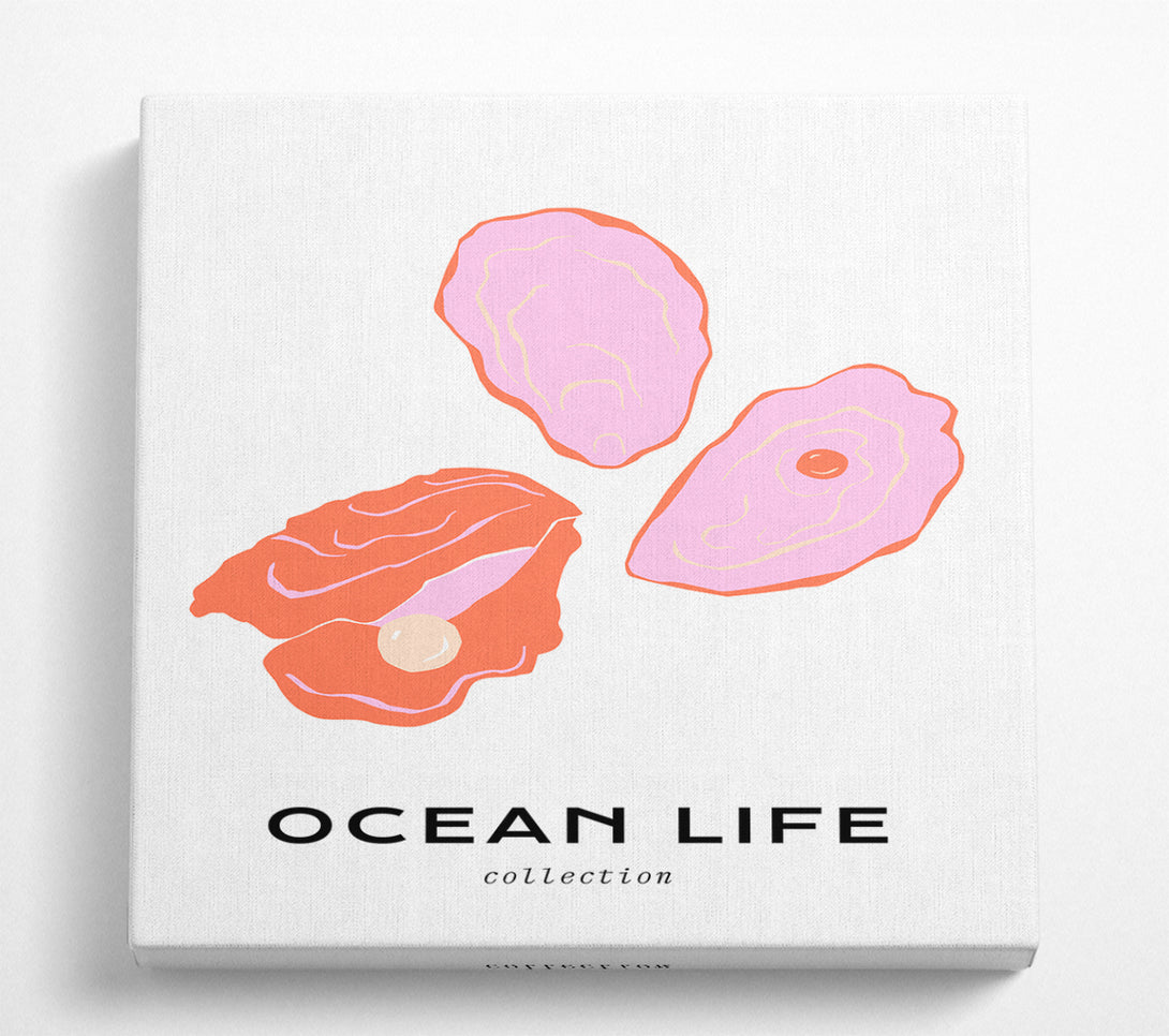 A Square Canvas Print Showing Stunning Ocean Shell Square Wall Art