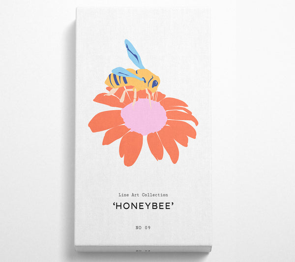 Modern Honey Bee