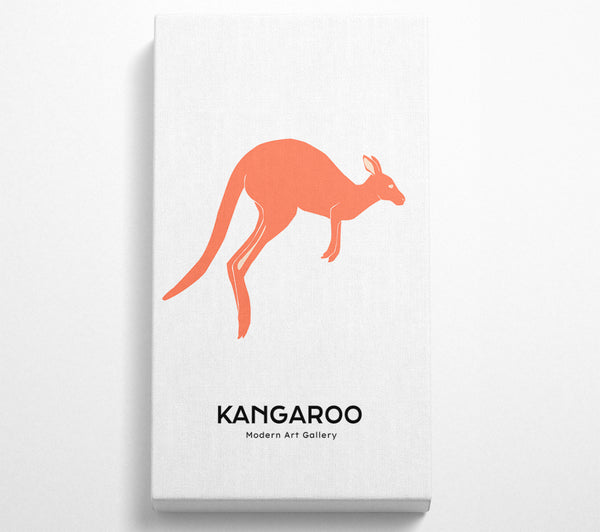 Kangaroo Bounce